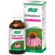 Echinaforce® Echinacea Drops 30ml